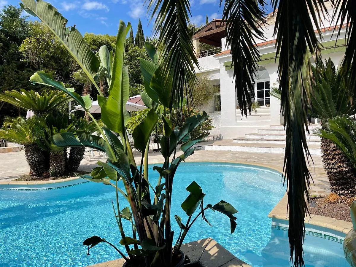 Cannes Villa Piscine Proche Centre Ville France